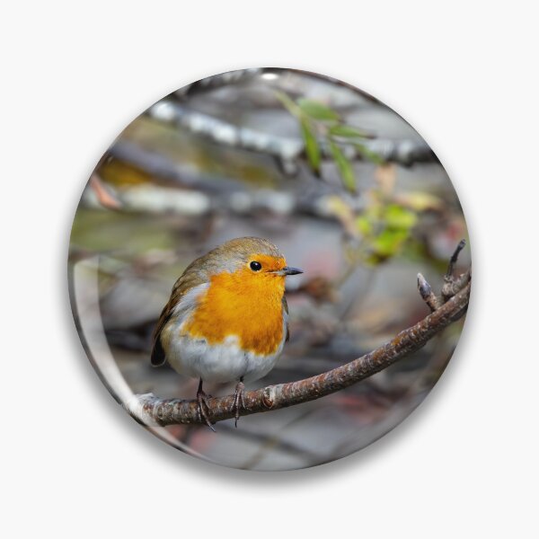 Item preview, Robin  designed and sold by deeve0.