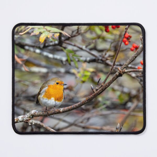 Item preview, Robin  designed and sold by deeve0.