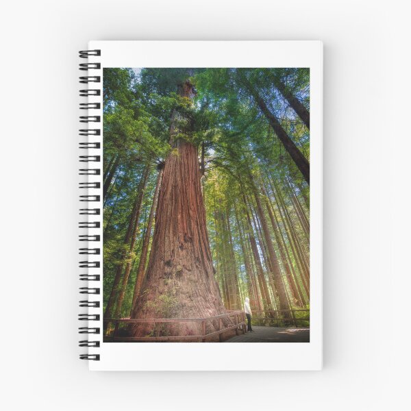 Item preview, Brotherhood Tree designed and sold by Adam Northam (Home & Away Photography).