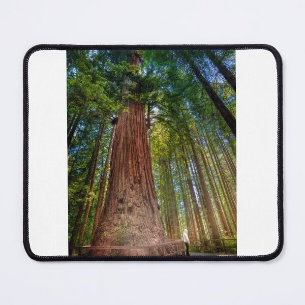 Item preview, Brotherhood Tree designed and sold by Adam Northam (Home & Away Photography).