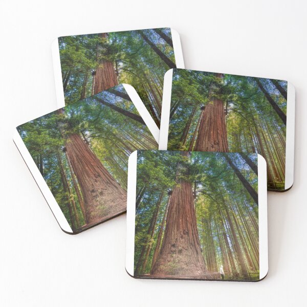 Item preview, Brotherhood Tree designed and sold by Adam Northam (Home & Away Photography).