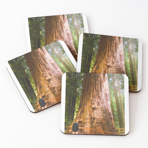 Item preview, Majesty designed and sold by Adam Northam (Home & Away Photography).