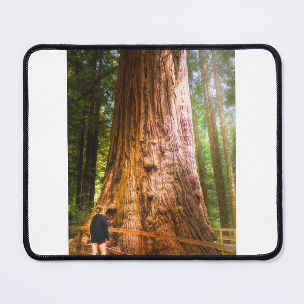 Item preview, Majesty designed and sold by Adam Northam (Home & Away Photography).