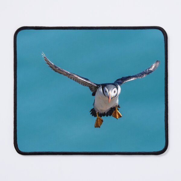 Item preview, Puffin landing designed and sold by deeve0.