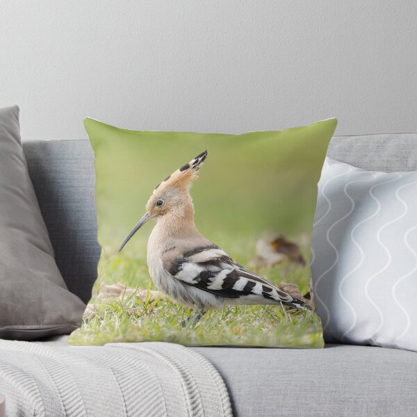 Item preview, Hoopoe designed and sold by deeve0.