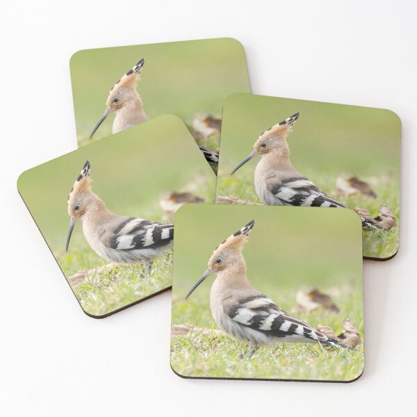 Item preview, Hoopoe designed and sold by deeve0.