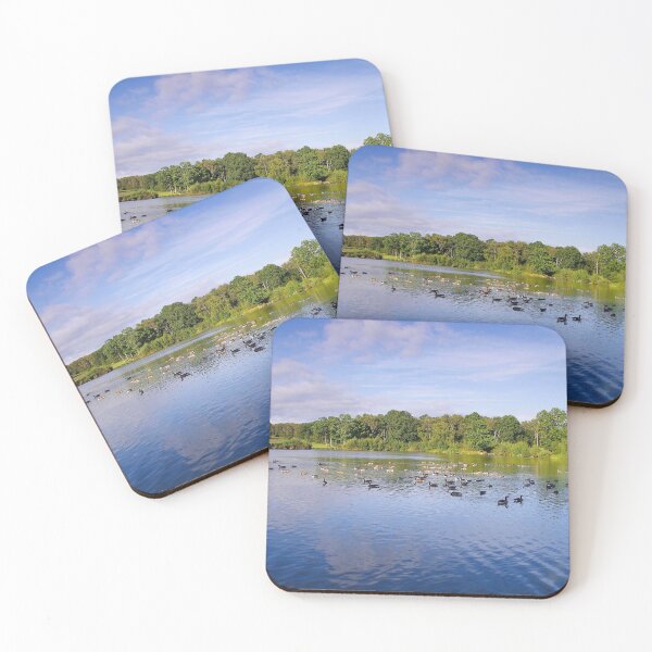 Item preview, Ducks and Geese on Piltdown Pond designed and sold by GrahamJKing.