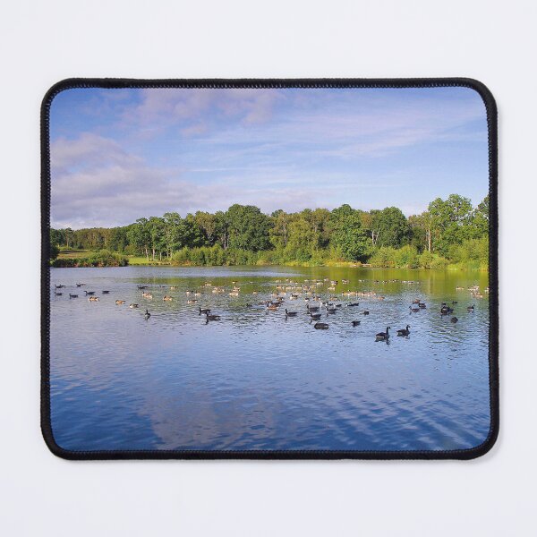 Item preview, Ducks and Geese on Piltdown Pond designed and sold by GrahamJKing.