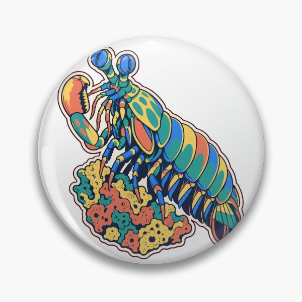 Item preview, Mantis Shrimp Sticker | Peacock Mantis Shrimp Marine Biology Die Cut designed and sold by StickyGuys.