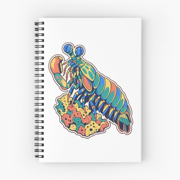 Item preview, Mantis Shrimp Sticker | Peacock Mantis Shrimp Marine Biology Die Cut designed and sold by StickyGuys.
