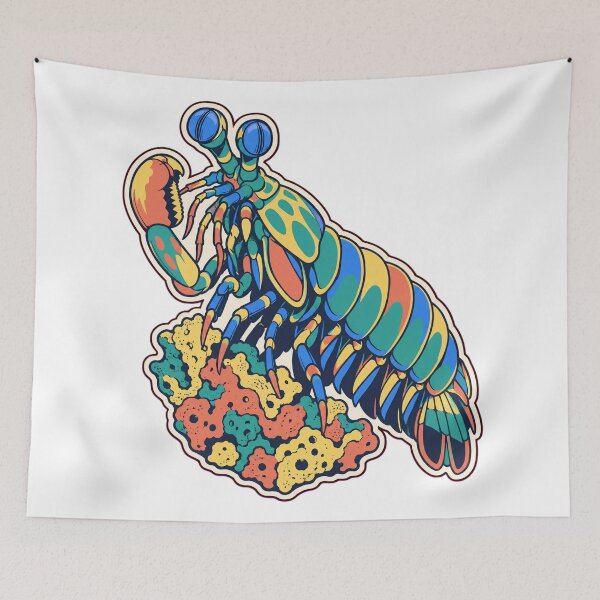 Item preview, Mantis Shrimp Sticker | Peacock Mantis Shrimp Marine Biology Die Cut designed and sold by StickyGuys.