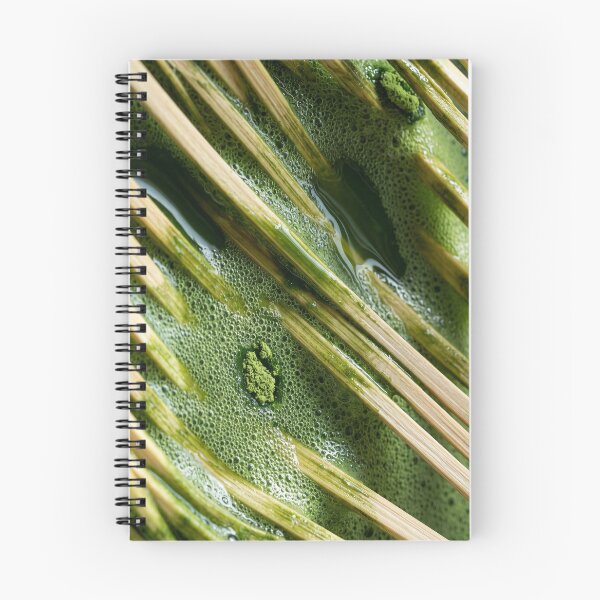 Item preview, Matcha Whisked with a Bamboo Chasen designed and sold by ASSEMBLE WONDER.