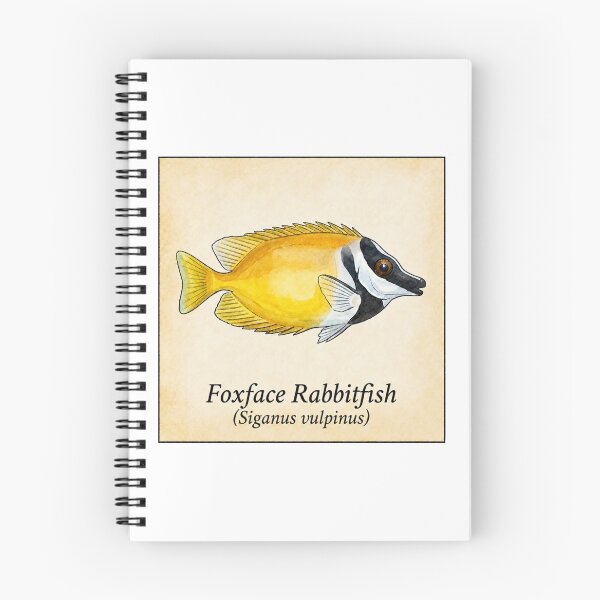 Item preview, Foxface Rabbitfish Vintage Naturalist Illustration designed and sold by KenworksDigital.