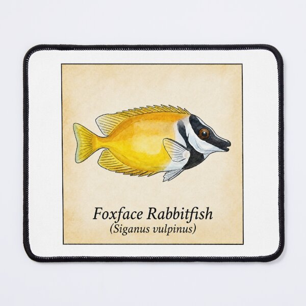 Item preview, Foxface Rabbitfish Vintage Naturalist Illustration designed and sold by KenworksDigital.