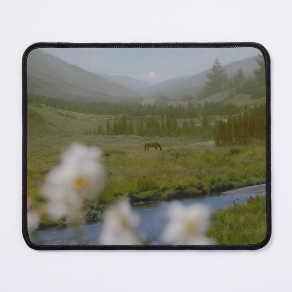 Item preview, Daisies by the Mountain Stream designed and sold by Roamgrain Photos.