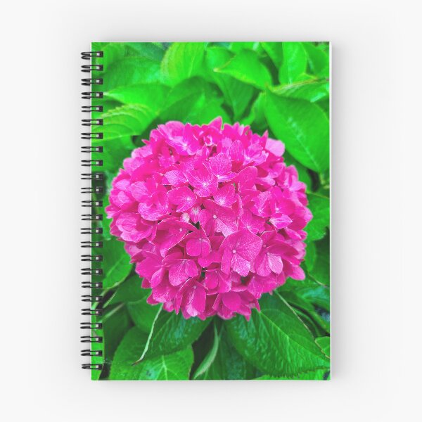 Item preview, Pink Hydrangea Blossom in Lush Foliage designed and sold by Maria Dryfhout.