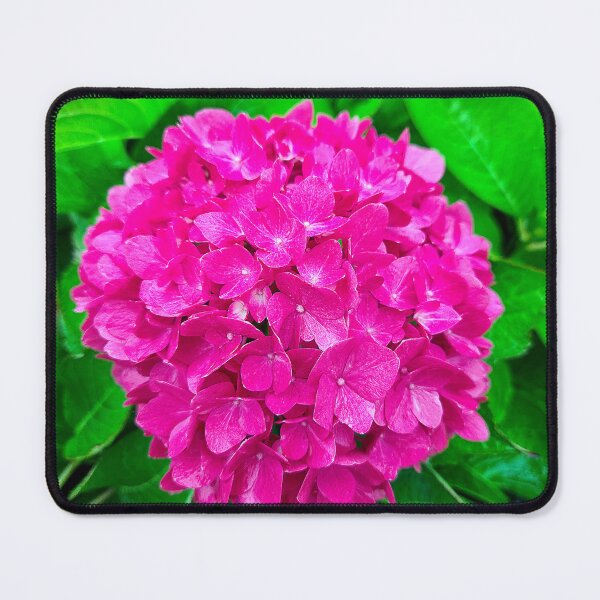 Item preview, Pink Hydrangea Blossom in Lush Foliage designed and sold by Maria Dryfhout.