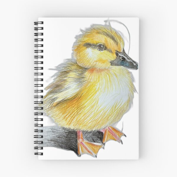 Item preview, Cute Fluffy Duckling Sticker – Farm Animal Art designed and sold by albertmama.