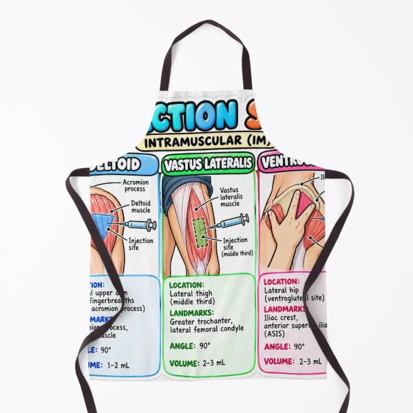Item preview, Injection Sites Clay Intramuscular Nursing Student Sticker designed and sold by isokinetic.