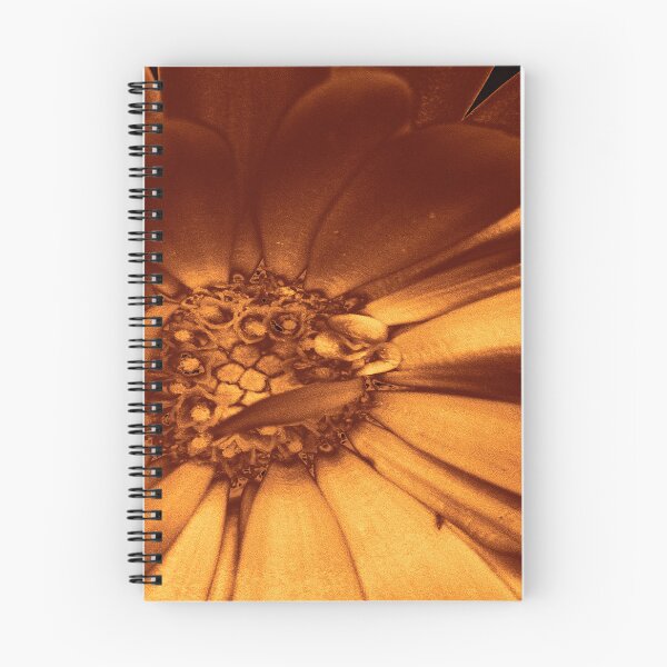 Item preview, Copper Gerbera – Botanical Close up designed and sold by SulkaCreative.