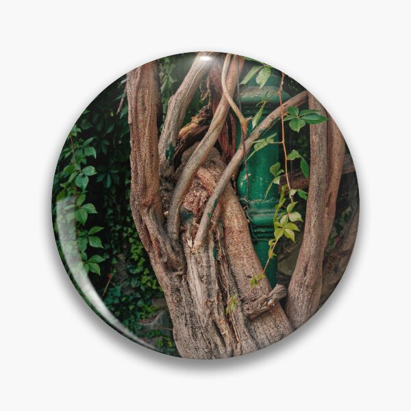 Item preview, Vine Wrapped Around Old Lamppost designed and sold by Rabee Khalil Photography.