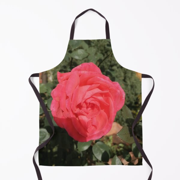 Item preview, Vibrant Pink Rose In Garden designed and sold by PhuongVoArt.