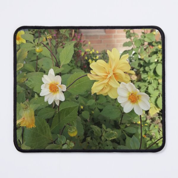 Item preview, Yellow White Dahlia Garden Flowers designed and sold by PhuongVoArt.