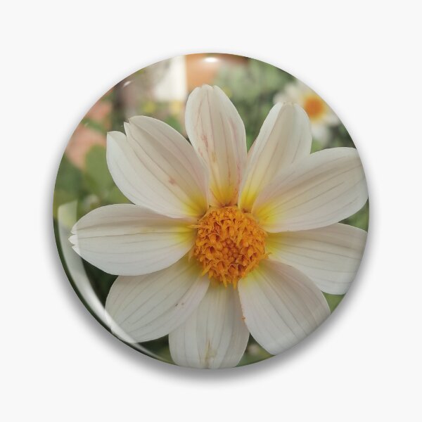 Item preview, White Dahlia With Yellow Center designed and sold by PhuongVoArt.