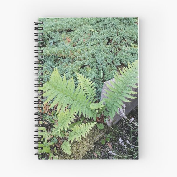 Item preview, Green Ferns Mossy Stone Garden designed and sold by PhuongVoArt.