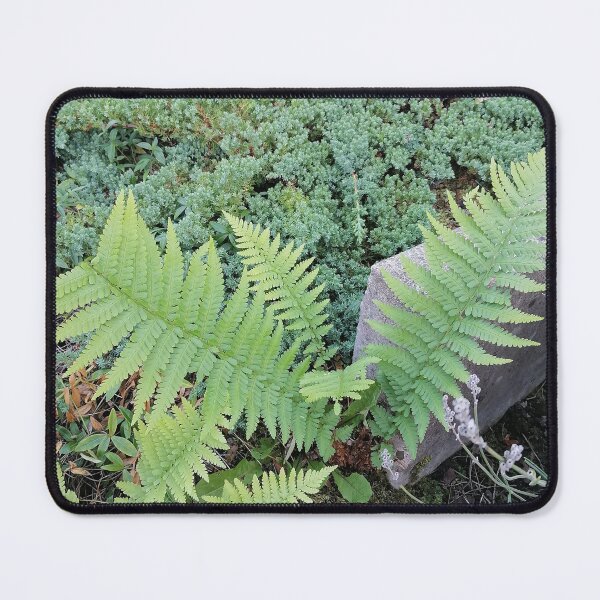 Item preview, Green Ferns Mossy Stone Garden designed and sold by PhuongVoArt.