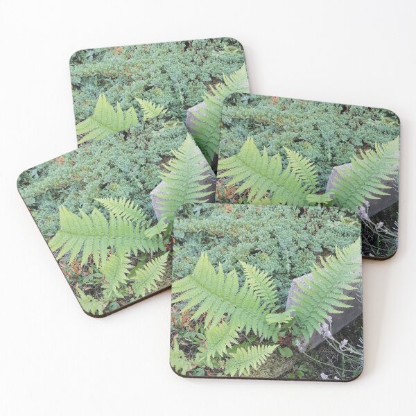 Item preview, Green Ferns Mossy Stone Garden designed and sold by PhuongVoArt.