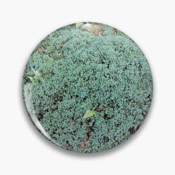 Item preview, Green Groundcover Ferns Natural Stone designed and sold by PhuongVoArt.