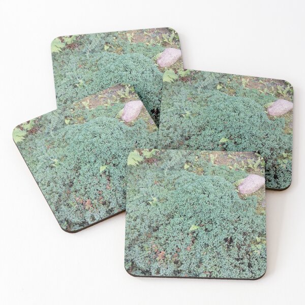 Item preview, Green Groundcover Ferns Natural Stone designed and sold by PhuongVoArt.