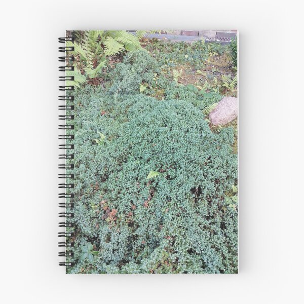 Item preview, Green Groundcover Ferns Natural Stone designed and sold by PhuongVoArt.