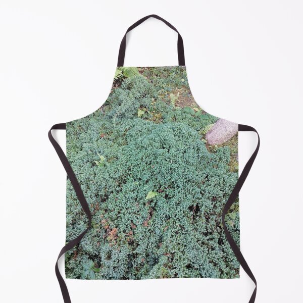 Item preview, Green Groundcover Ferns Natural Stone designed and sold by PhuongVoArt.