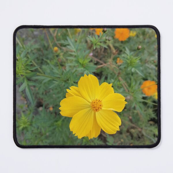Item preview, Bright Yellow Cosmos Flower Garden designed and sold by PhuongVoArt.