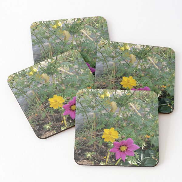 Item preview, Pink And Yellow Cosmos Flowers designed and sold by PhuongVoArt.