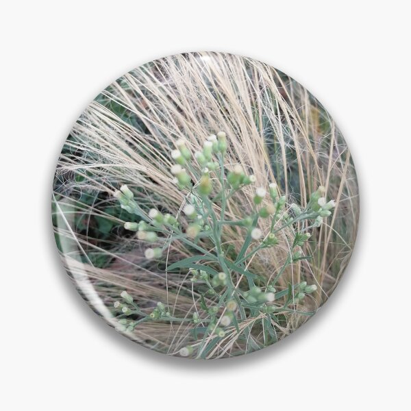 Artikelvorschau, Ornamental Grass And Green Wildflower entworfen und verkauft von PhuongVoArt.