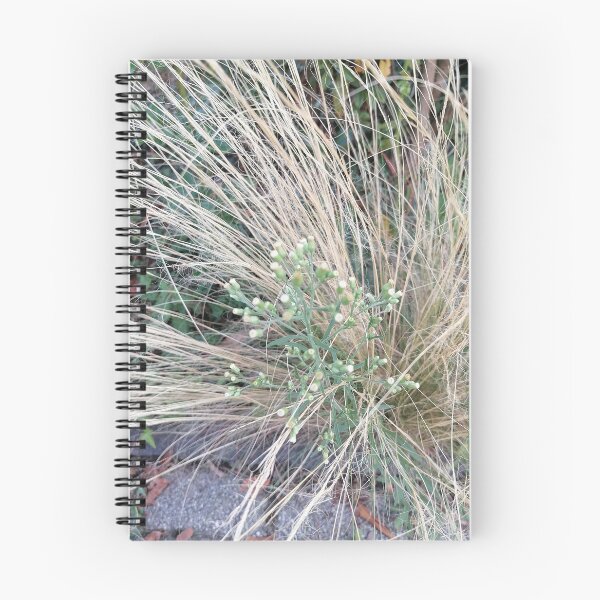 Item preview, Ornamental Grass And Green Wildflower designed and sold by PhuongVoArt.