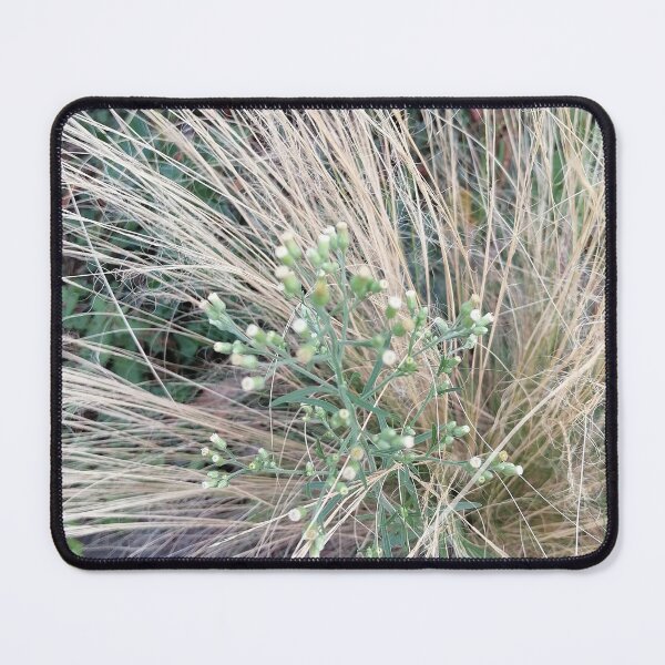 Item preview, Ornamental Grass And Green Wildflower designed and sold by PhuongVoArt.