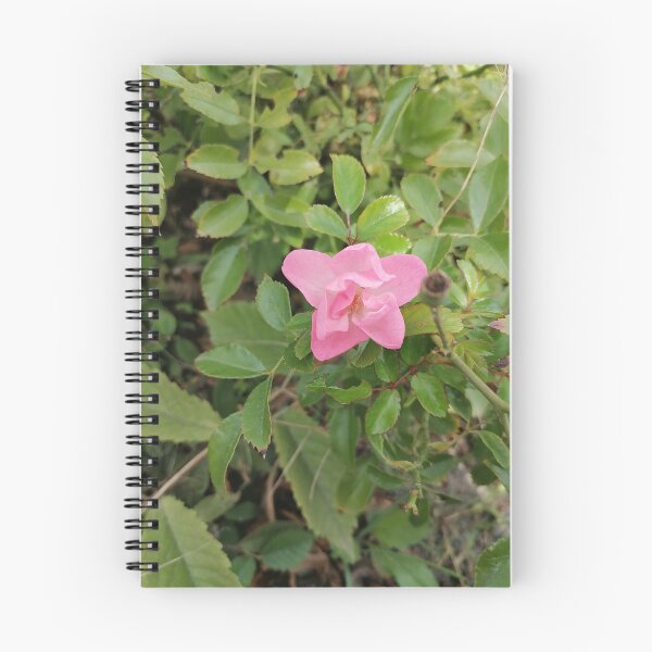 Item preview, Pink Rose Blooming Among Green Leaves designed and sold by PhuongVoArt.
