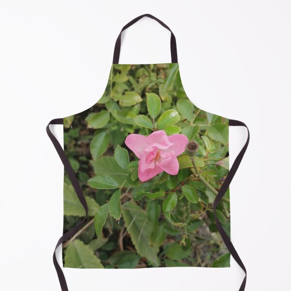 Item preview, Pink Rose Blooming Among Green Leaves designed and sold by PhuongVoArt.