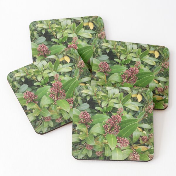 Item preview, Pink Skimmia Flowers And Green Leaves designed and sold by PhuongVoArt.