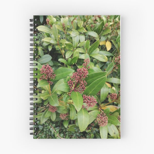 Item preview, Pink Skimmia Flowers And Green Leaves designed and sold by PhuongVoArt.