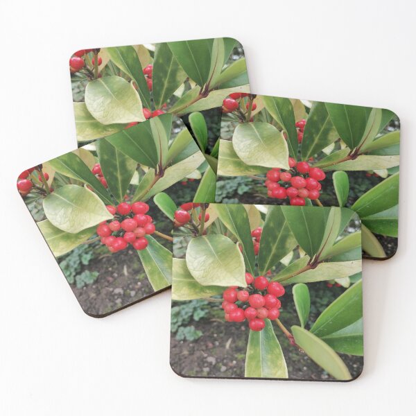 Item preview, Bright Red Skimmia Berries Green Leaves designed and sold by PhuongVoArt.