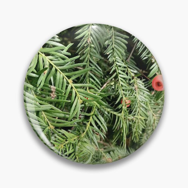 Item preview, Red Yew Berry Green Evergreen Foliage designed and sold by PhuongVoArt.