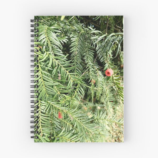 Item preview, Red Yew Berry Green Evergreen Foliage designed and sold by PhuongVoArt.