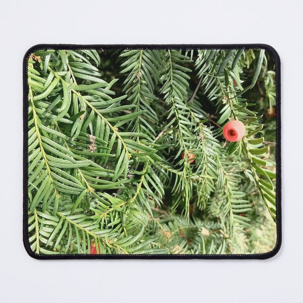 Item preview, Red Yew Berry Green Evergreen Foliage designed and sold by PhuongVoArt.