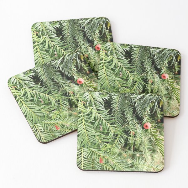 Item preview, Red Yew Berry Green Evergreen Foliage designed and sold by PhuongVoArt.