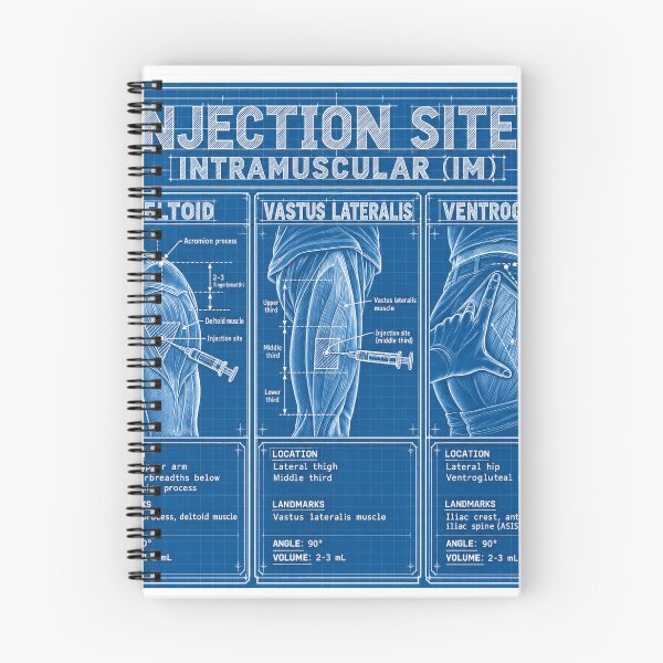 Aperçu de l'œuvre Plan des sites d'injection intramusculaire - Autocollant pour étudiante en soins infirmiers créée et vendue par isokinetic.